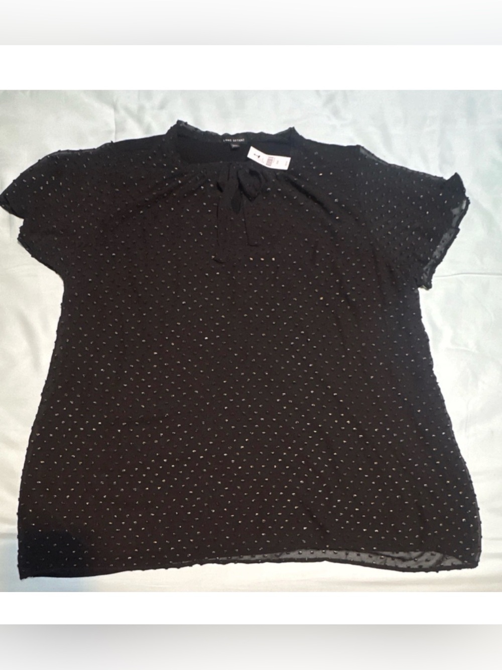 Lane Bryant Chiffon Polka Dot Tie Neck Short Sleeve Blouse 22/24 Plus Black